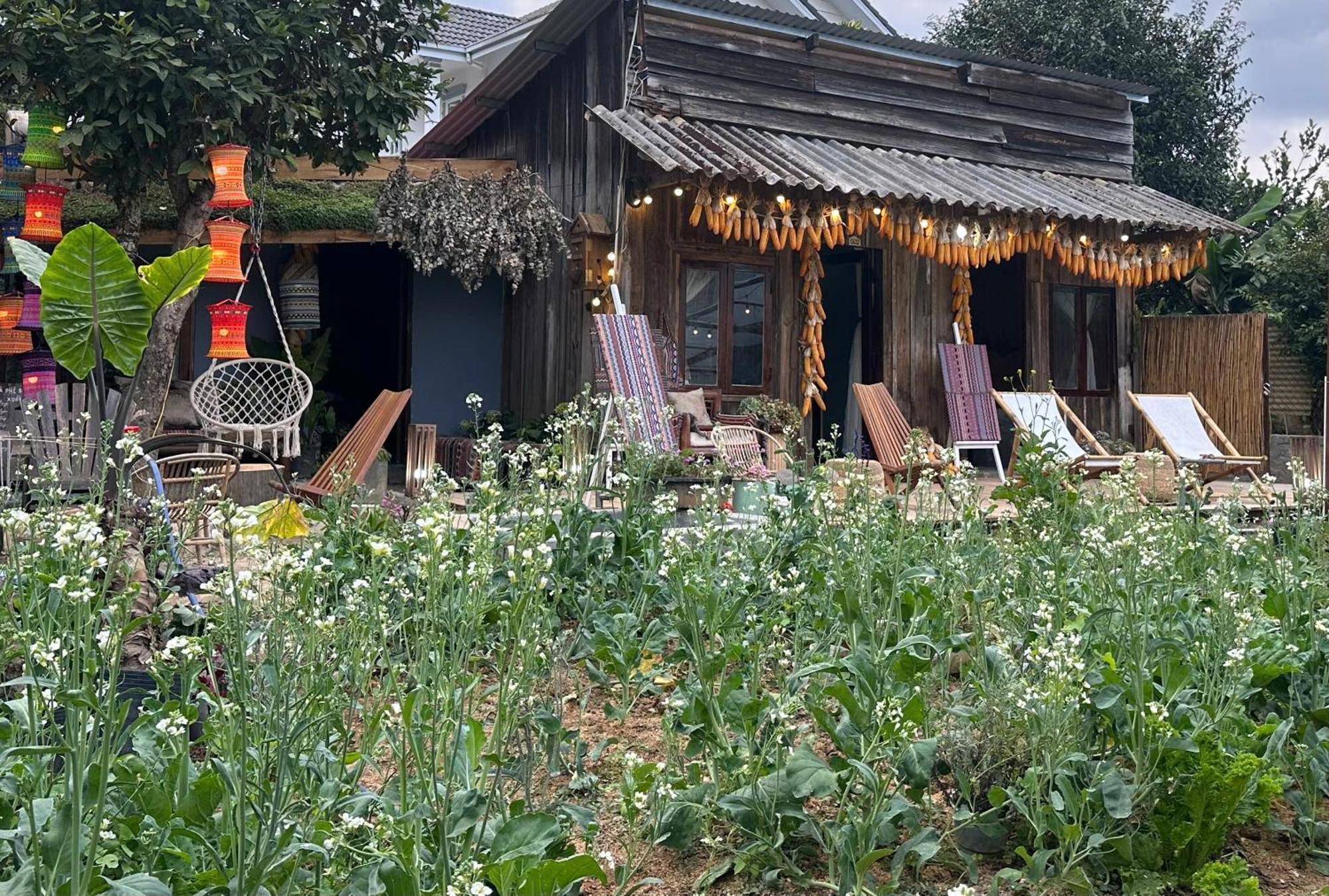 Hotel Lang Ko Ho Dalat Luaran gambar