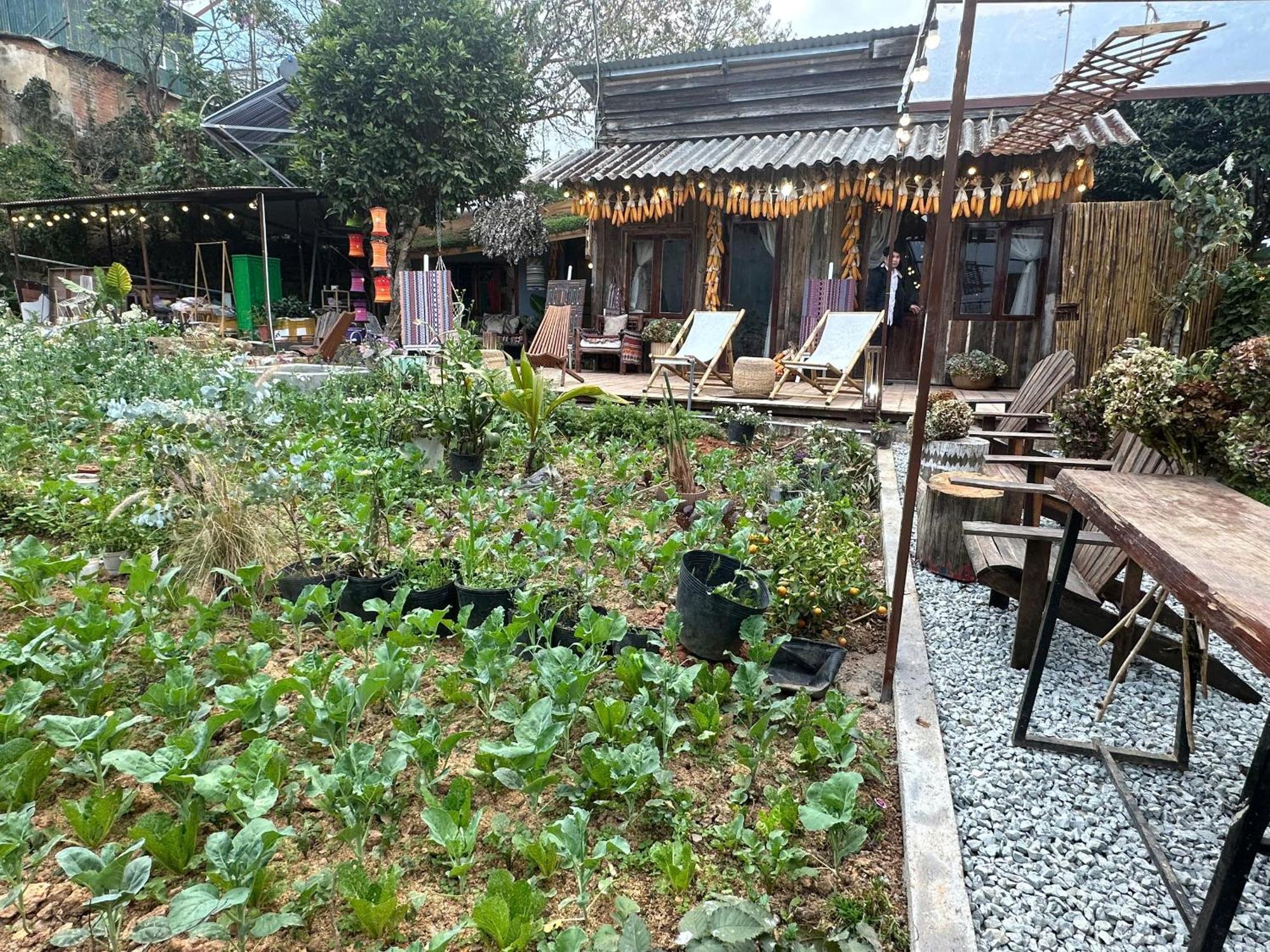 Hotel Lang Ko Ho Dalat Luaran gambar